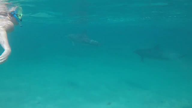 KANGAROO ISLAND смотреть онлайн