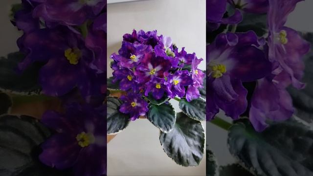 ВаТ-Маяк химера. смотреть онлайн