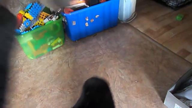 Стаффи апортировка смотреть онлайн