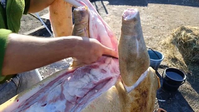 Как разделать хрюшку смотреть онлайн