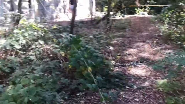 Огромный Дом-призрак над Ялтой/Ходим по закрытой зоне/Санаторий Долоссы