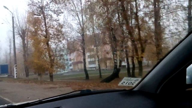 VW PASSAT DIZEL. А в городе уж осень, туман, желтые листья-Славгород смотреть онлайн
