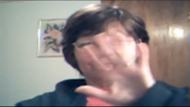 VIDEO2X FREE VIDEO UPSCALING SOFTWARE смотреть онлайн