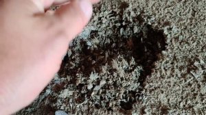 Баня из опилкобетона, утепление потолка опилкобетоном