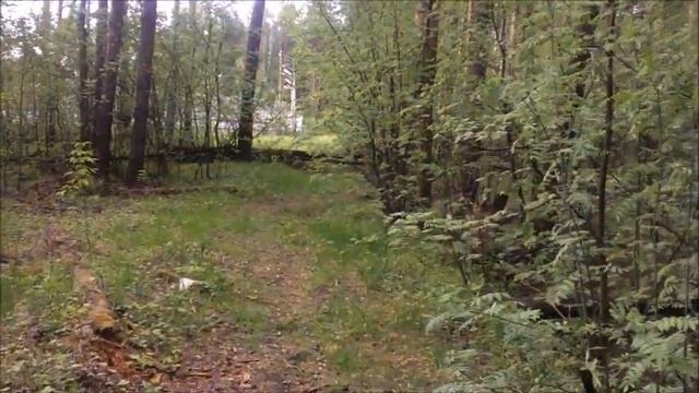 ПОХОД ЗА ЛАНДЫШАМИ ДЕРЕВО ПОД КОТОРЫМ ЖИВЕТ ЗМЕЯ смотреть онлайн
