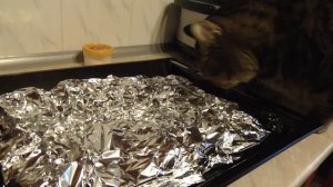 Рыба в фольге. Запекаем в духовке нототению с луком