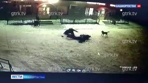 Драка на ножах с пострадавшими в Башкирии попала на видео