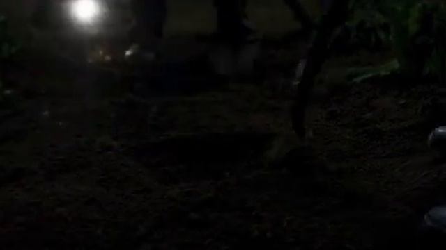 Лето 84 (2017) смотреть онлайн