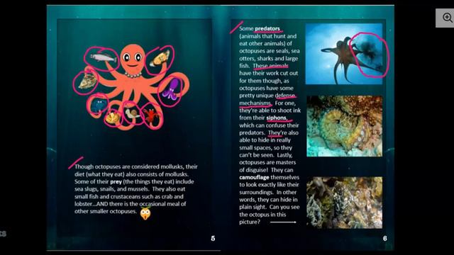 Octopus for kids read aloud teaching video w/accompanying worksheets for K-3 смотреть онлайн