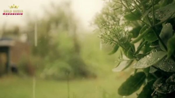 Александр Гужов и Dima Project - В Невесомости