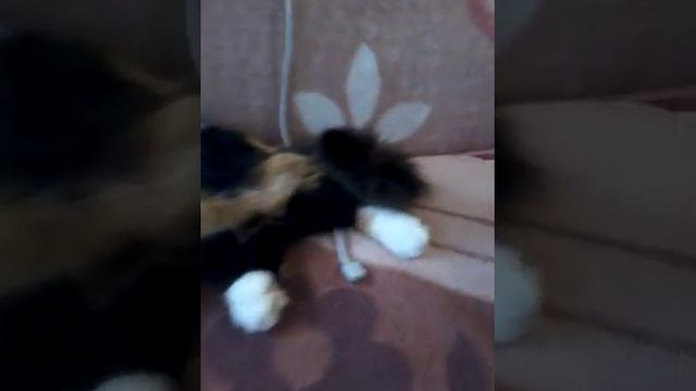Буси не дают смотреть телефон алиэкспресс она обиделась смотреть онлайн