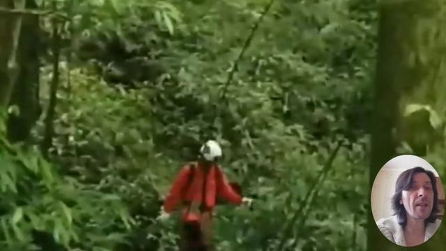 В Китае нашли гигантскую воронку, внутри которой растет первобытный лес смотреть онлайн