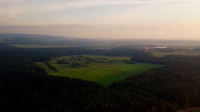 Поезд оставил без шансов на выживание молодого ВОЛКА, но доброта людей спасла ему жизнь.