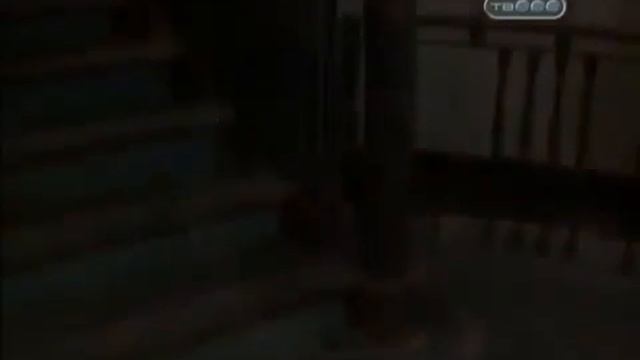 Мистика Санкт-Петербурга. Тайны Сенной площади. смотреть онлайн