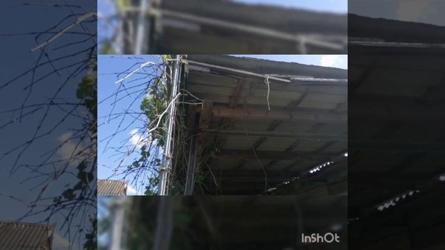 Дом станица Полтавская Краснодарский край в тихом месте смотреть онлайн