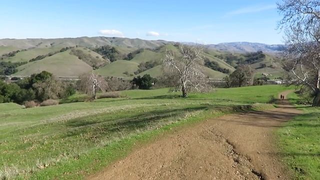 Llamas - Pleasanton Ridge Regional Park, Pleasanton, California смотреть онлайн