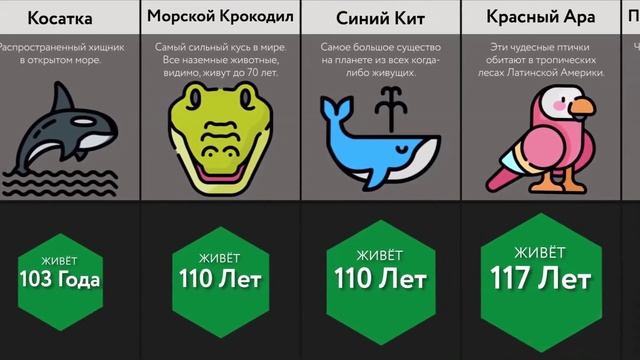 Самые Живучие Существа Сравнение смотреть онлайн