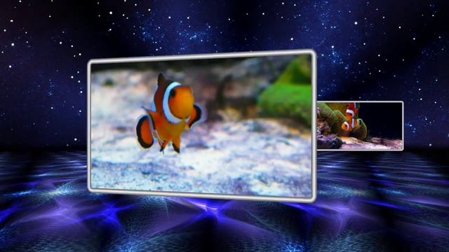 Стиль ProShow Producer - Star4 смотреть онлайн