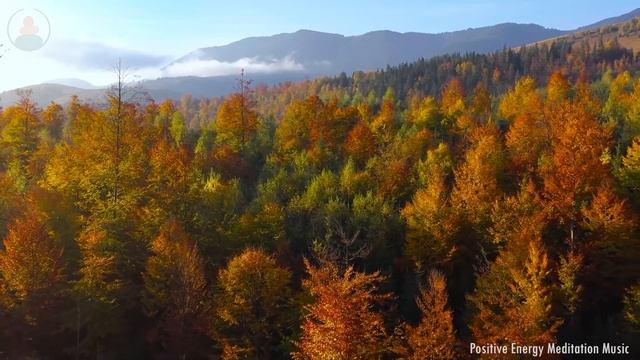 Отдых 8 минут релаксации - Медитация глубокой релаксации смотреть онлайн