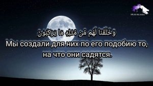 Сура "Йа Син". Ясин с переводом на русский язык. Чтец: Мишари Рашид