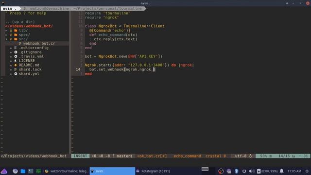 Telegram Bot Development With Tourmaline: Webhooks With Ngrok