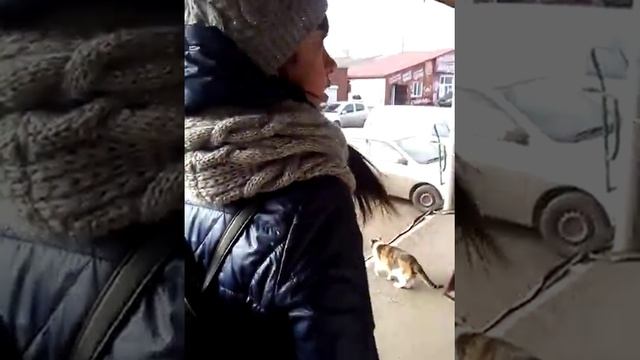 Проверка продавца на честность смотреть онлайн