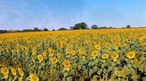 Мантра «Преображения» автор и исполнитель Станислав Казаков