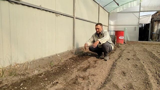 Готовим грядки в теплице / ЛопЛош / Мотокультиватор смотреть онлайн