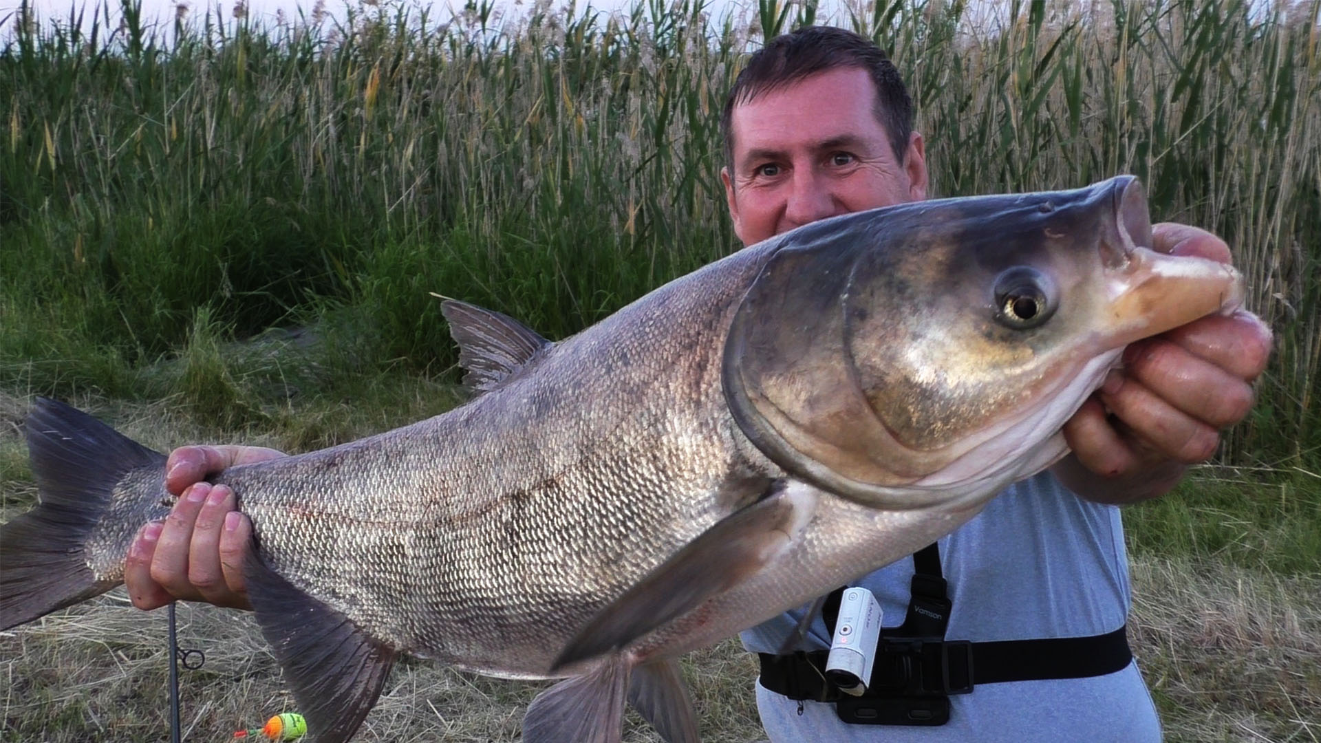 Судак и Толстолобик любит эту насадку! Рыбалка с ночёвкой. смотреть онлайн