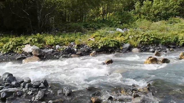 Первый поход в горы смотреть онлайн