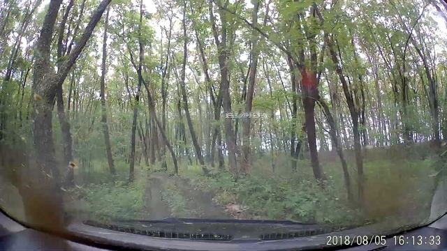 Дорога на оз Пионерское за Новониколаевкой возле Ханки