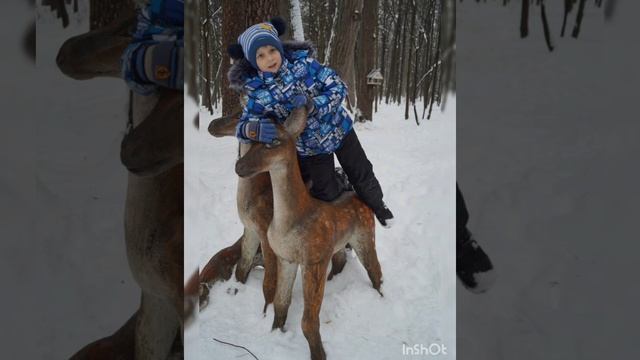 "Мы мороза не боимся!" Детский сад 107 смотреть онлайн
