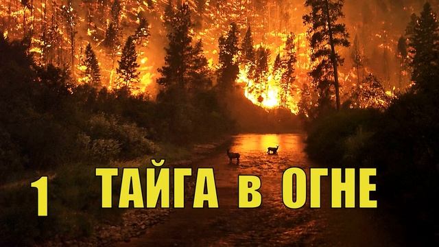 ВЫЖИТЬ в ОГНЕ ПОЖАР в ЛЕСУ ЭВЕНКИ ПРОВОДНИКИ КАК ЖИВУТ ОЛЕНИ СТАДОПРОМЫСЕЛ ЗАТЕРЯВШИЕСЯ в ТАЙГЕ 1 смотреть онлайн
