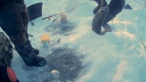 Зимняя рыбалка на Ленка ice fishing on lenok