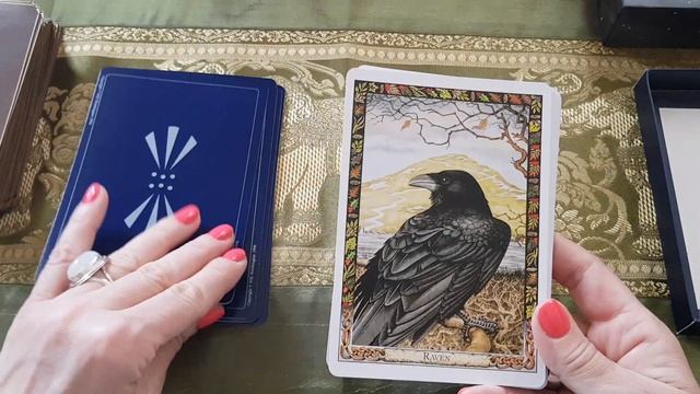 The Druid Animal Oracle смотреть онлайн