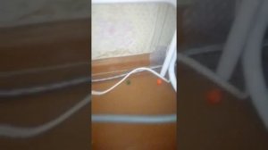 как подключить стиральную машину автомат в деревенских условиях без водопровода