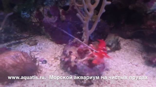 Изображение 076 смотреть онлайн