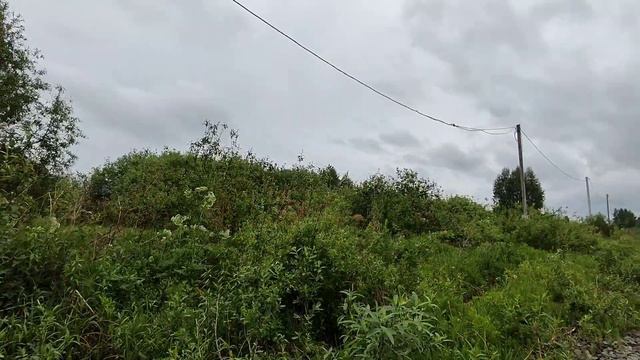 Оформление земельного участка