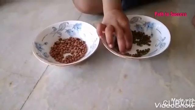 Fine & gross motor skills activity's ideas for children ii смотреть онлайн