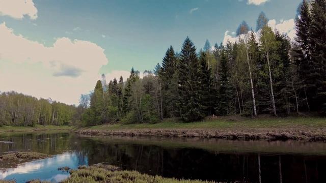 прогулка в окрестностях д. Малое Усадище вдоль реки Паша смотреть онлайн