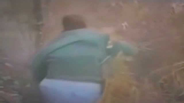 топ 10 нападений тигров на людей смотреть онлайн