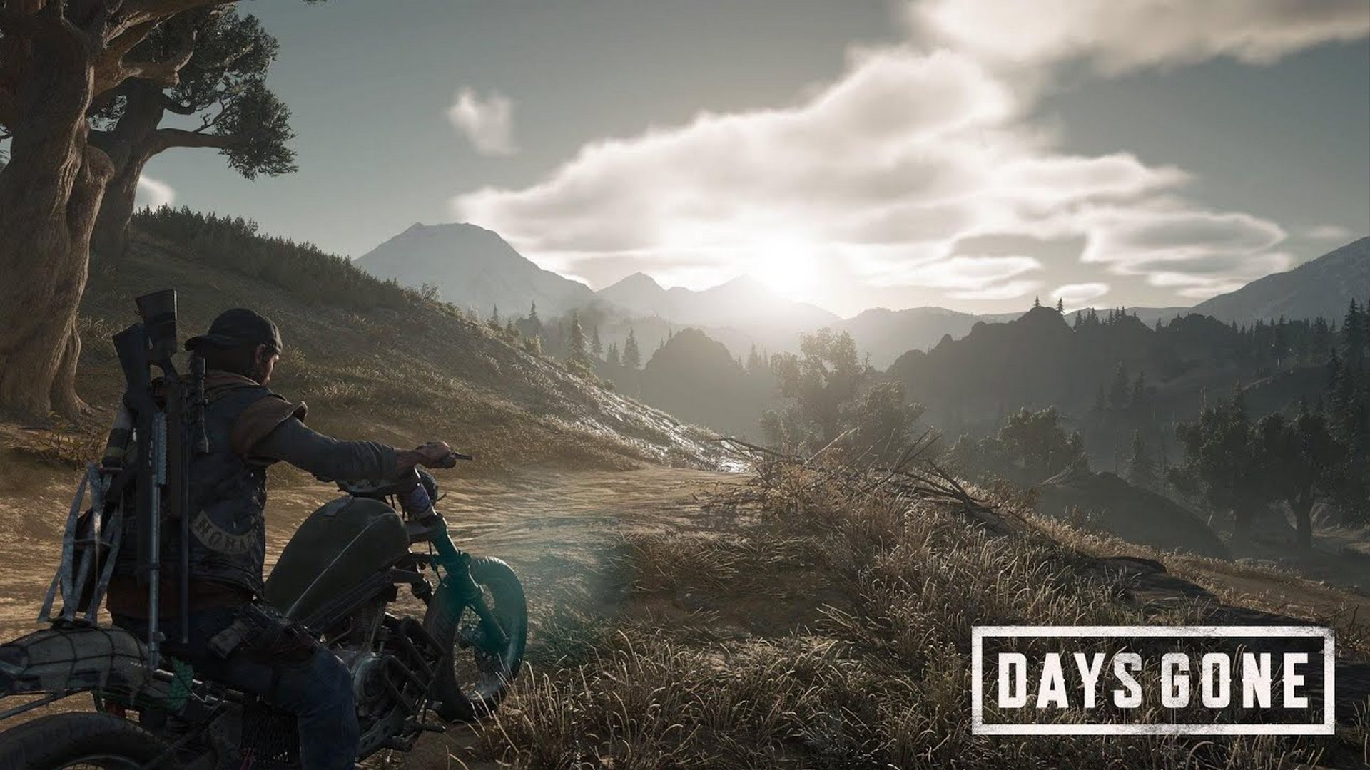 Days Gone ▷  Операция  #19