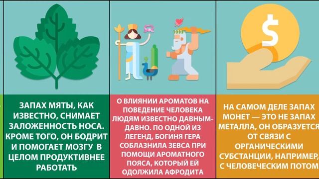 20 удивительных фактов о запахах. Как работает наше обоняние? смотреть онлайн