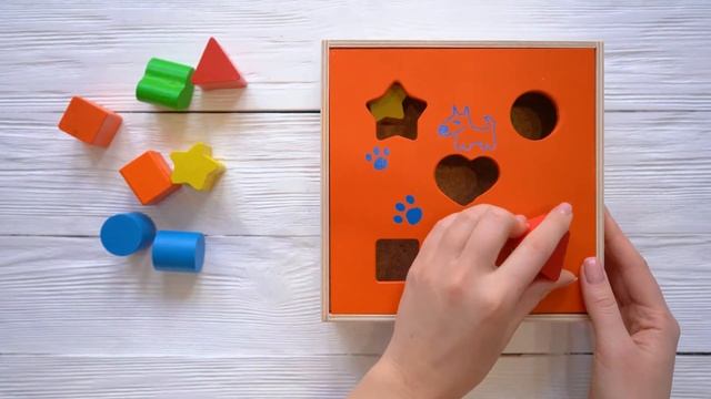 СОРТЕР деревянный - обзоры ДЕТСКИХ РАЗВИВАЮЩИХ ИГРУШЕК