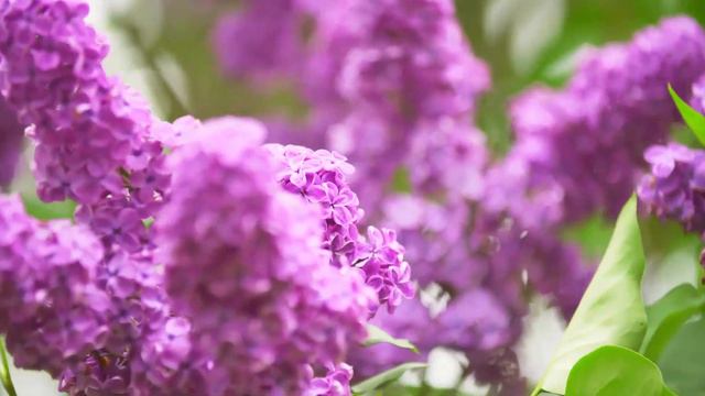 Музыка полезна и полезна для душ! Бодрящая музыка для начала нового дня! Сергей Чекалин смотреть онлайн