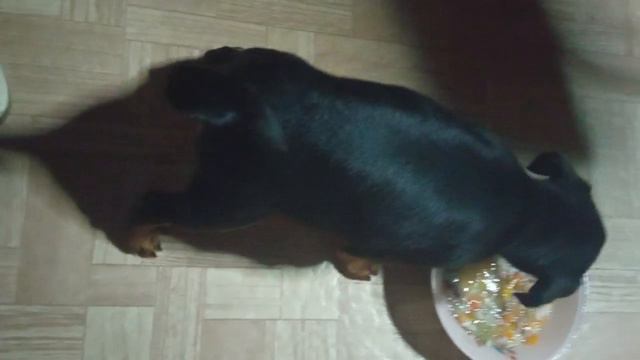 2_5418294285504108788