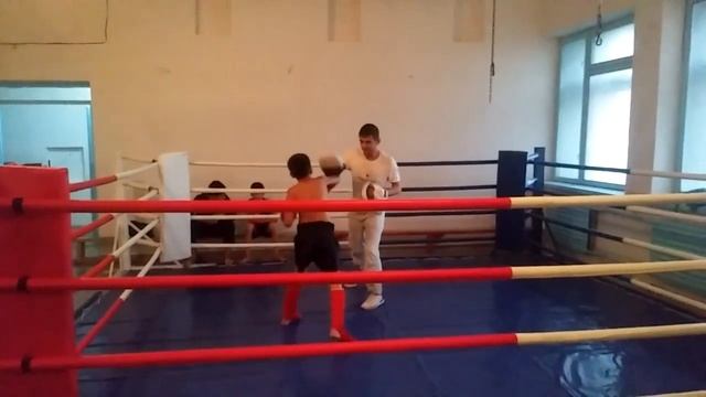 Работа на лапах.Кикбоксинг. смотреть онлайн