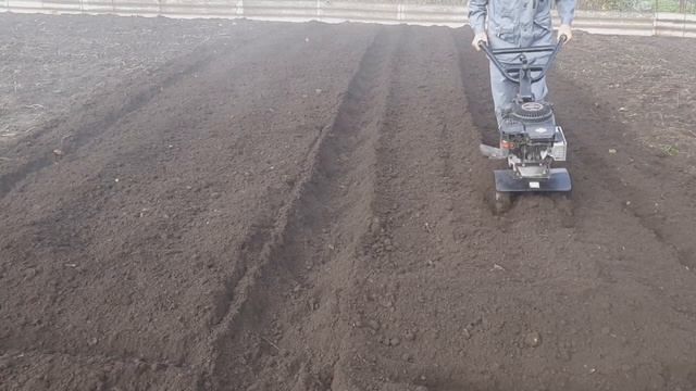 Сажаю чеснок под зиму смотреть онлайн