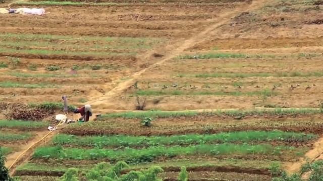 Конго: после свадьбы все в постель? Инфо о стране! смотреть онлайн