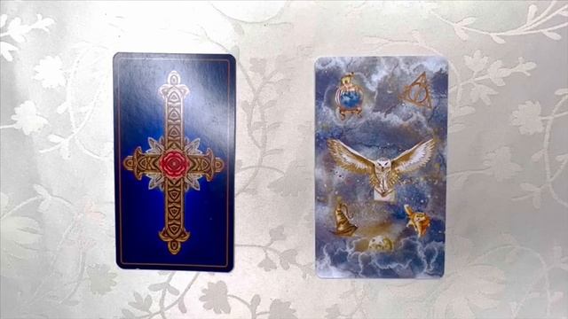 ТЕЛЕЦ. ПОЛНОЛУНИЕ 29 СЕНТЯБРЯ 2023 #телец #таро #раскладтаро #полнолуние #сентябрь2023 смотреть онлайн